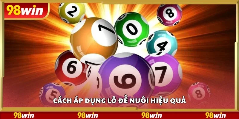 Cách áp dụng lô đề nuôi hiệu quả