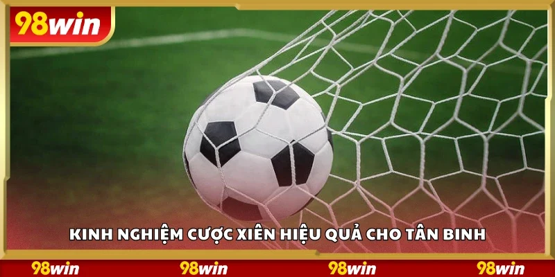 Kinh nghiệm cược xiên hiệu quả cho tân binh