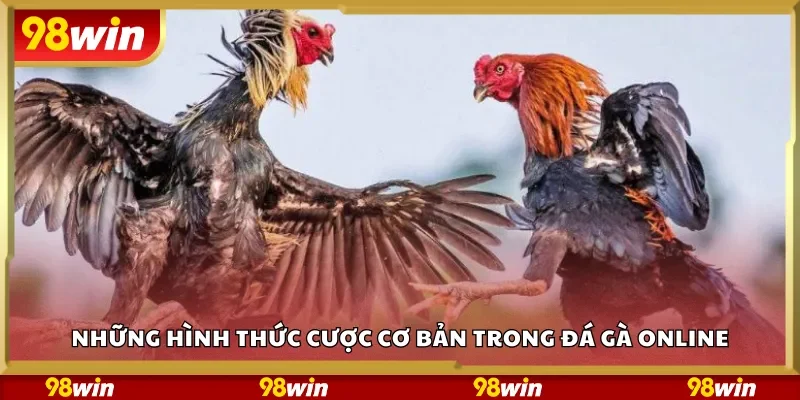Những hình thức cược cơ bản trong đá gà online
